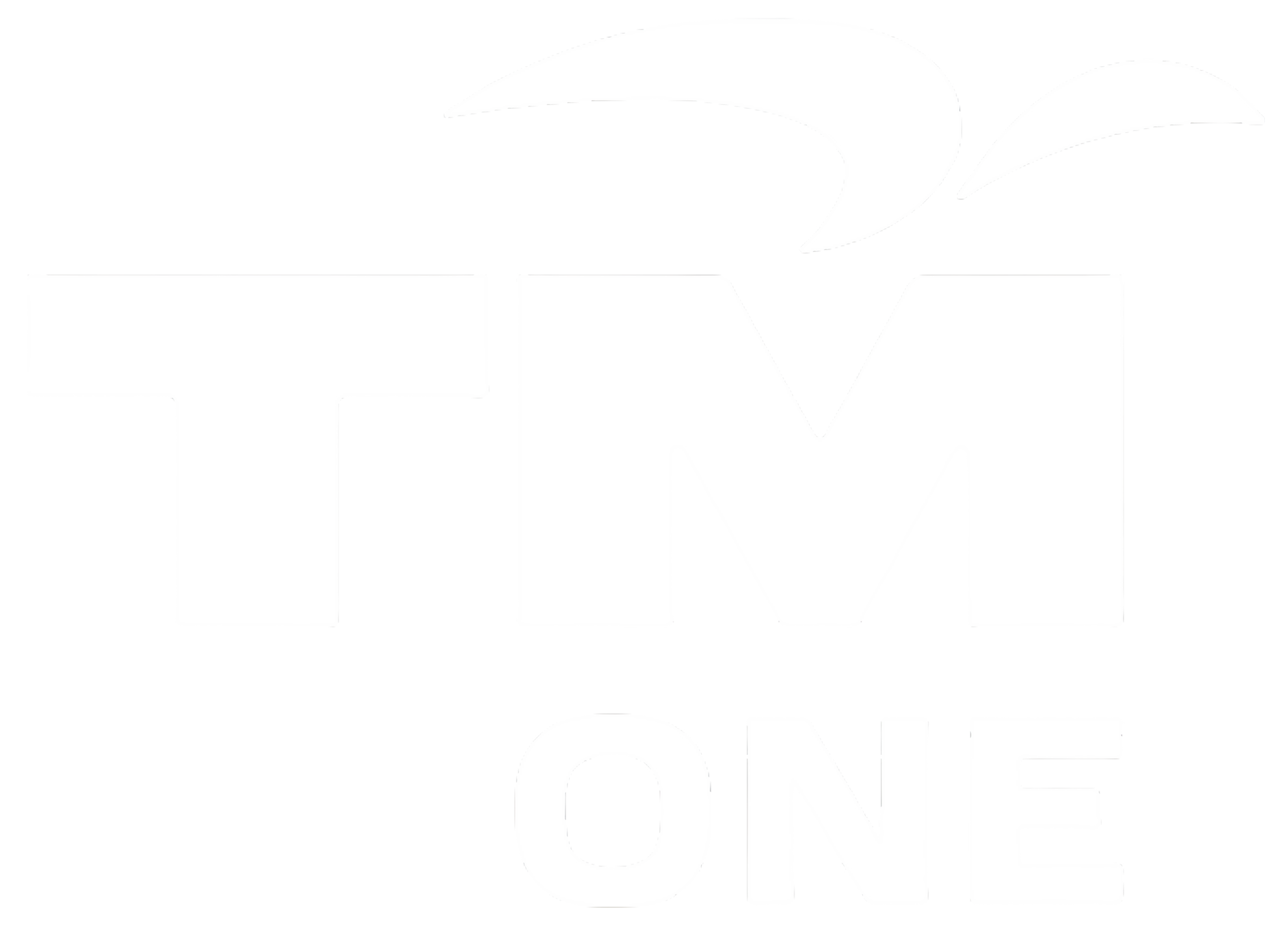 TM One